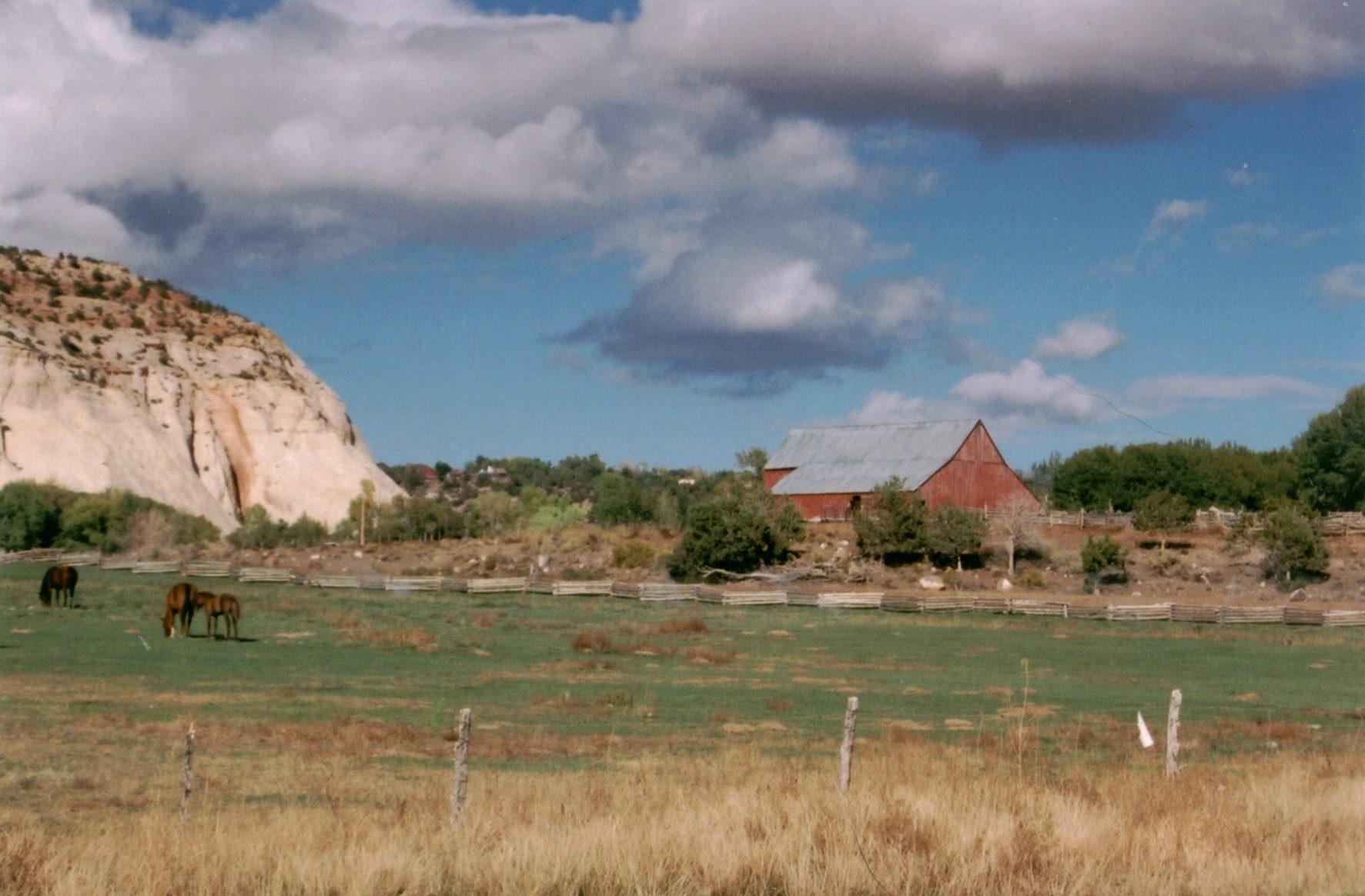 Horses grazing in a green pasture beside a red barn at Boulder, Utah, with sandstone domes and cottonwoods behind the fence line.