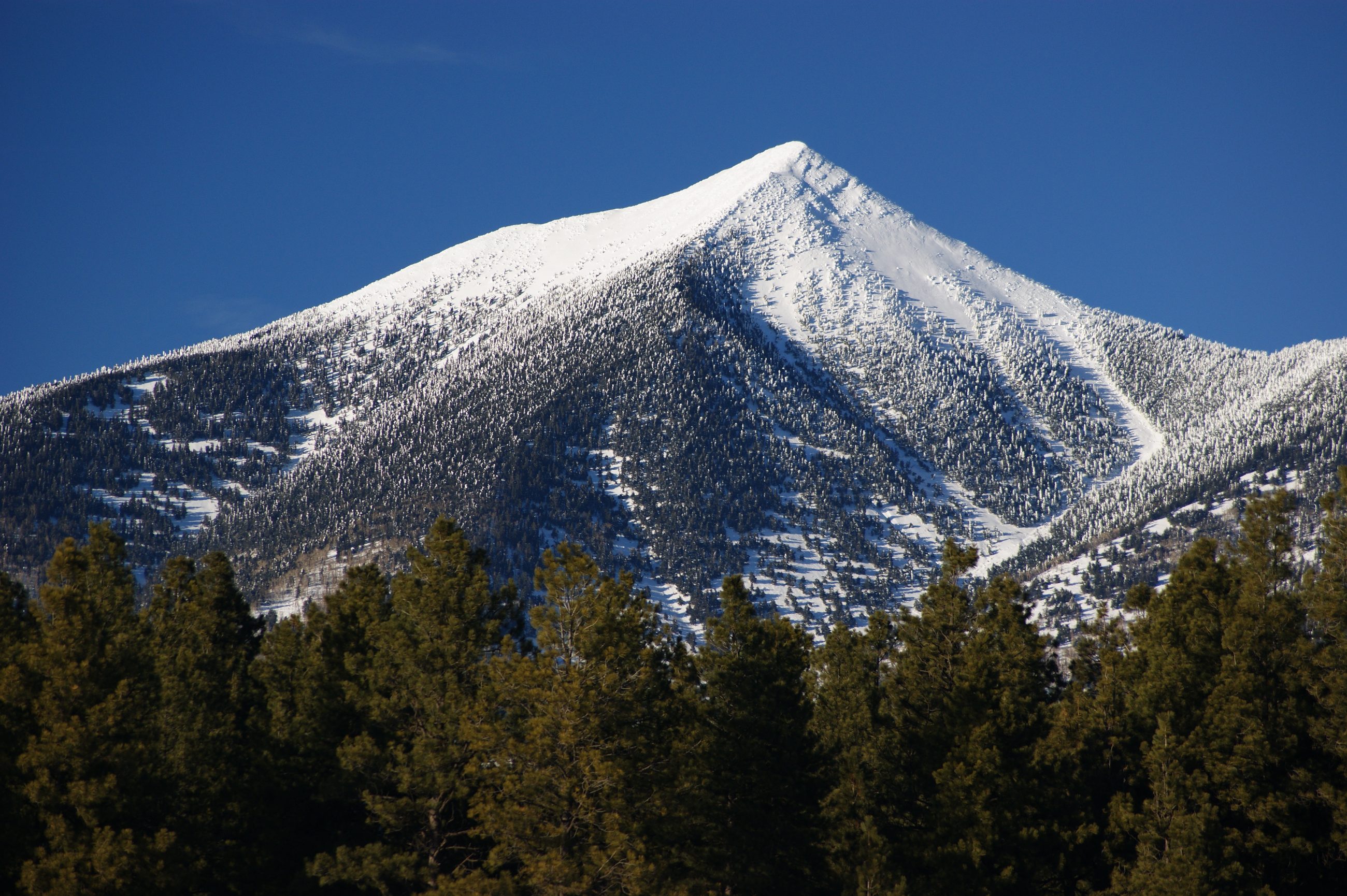 The snow-capped San Francisco Peaks north of Flagstaff, Arizona — the eroded remnant of a collapsed stratovolcano and the highest ground in the state.
