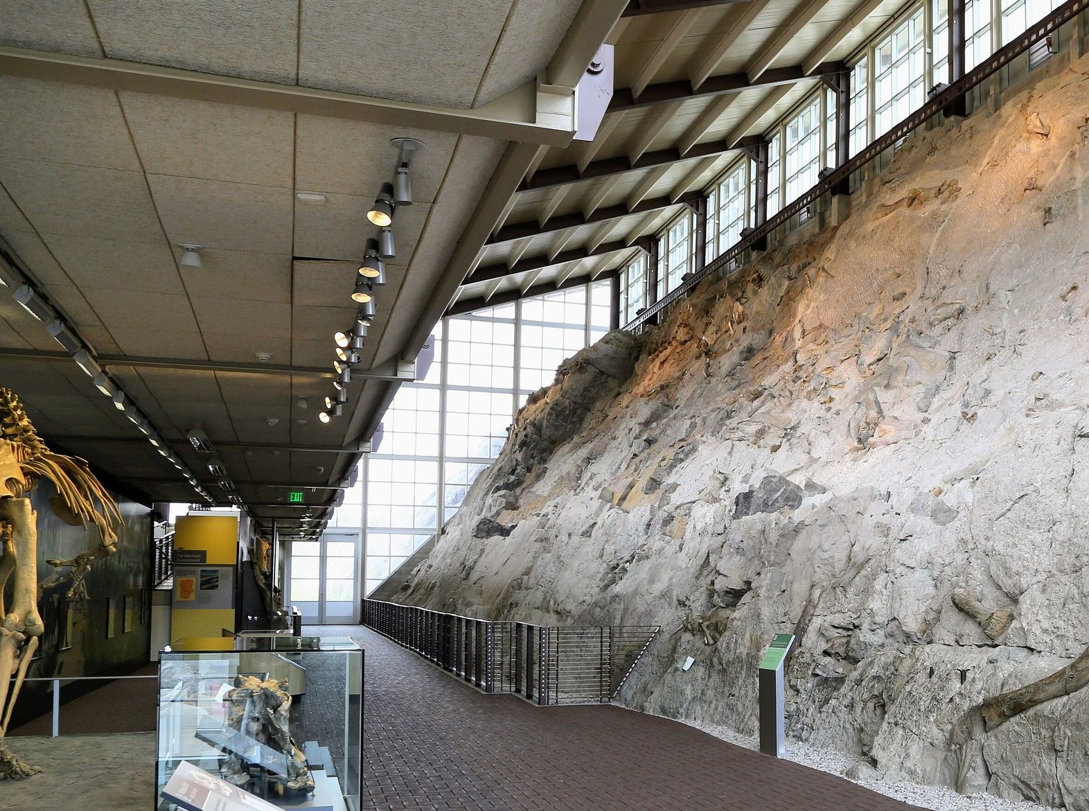 The tilted Carnegie Quarry wall of bones at Dinosaur National Monument, Utah — roughly 1,500 Jurassic dinosaur bones still embedded in the sandstone face beneath the Quarry Exhibit Hall.