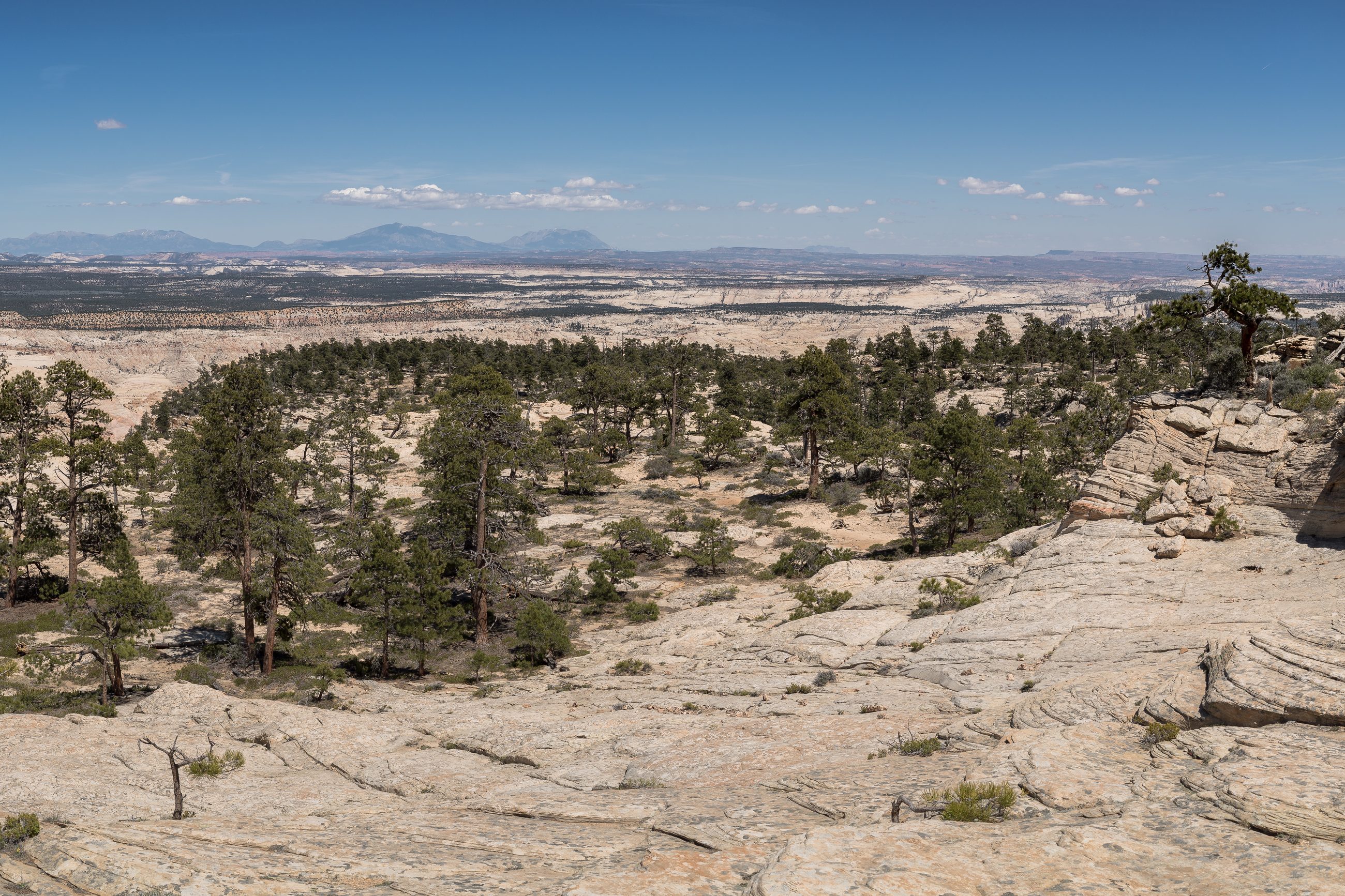Bare white slickrock falling away into empty pinyon and juniper country above Death Hollow in Grand Staircase-Escalante National Monument, Utah, with a distant blue mountain range along the horizon.