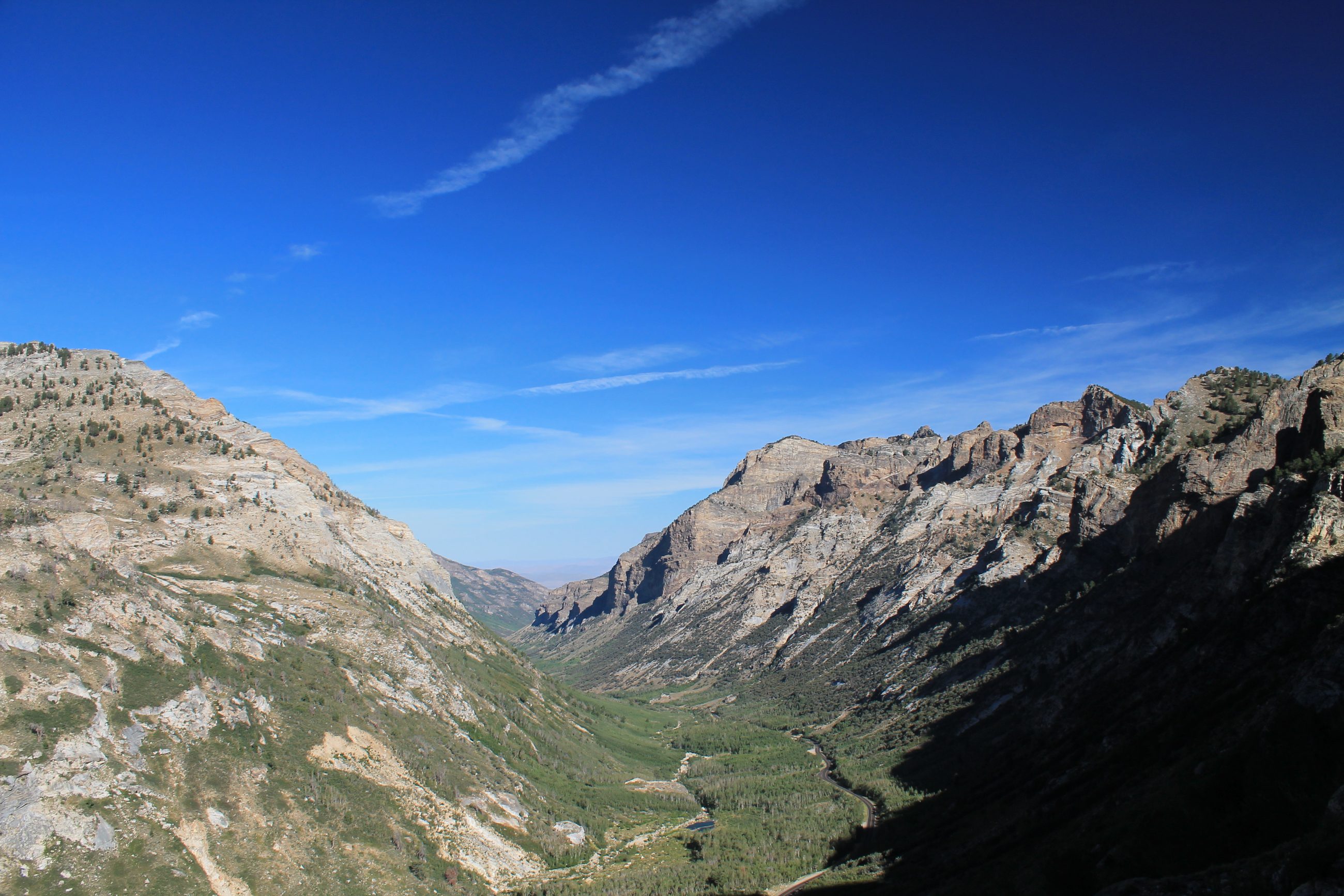 Lamoille Canyon, a broad U-shaped glacial trough in the Ruby Mountains of northeastern Nevada, steep rock walls above a valley floor of golden autumn aspen.