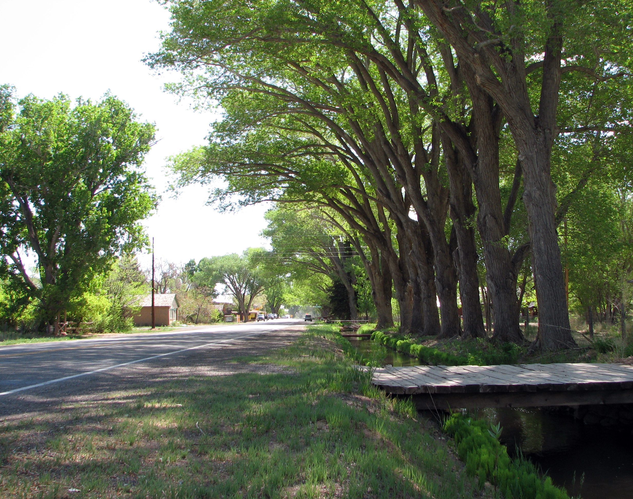 A quiet two-lane street in Torrey, Utah, running beneath a long row of mature cottonwoods, with a small irrigation ditch and a wooden footbridge in the foreground.