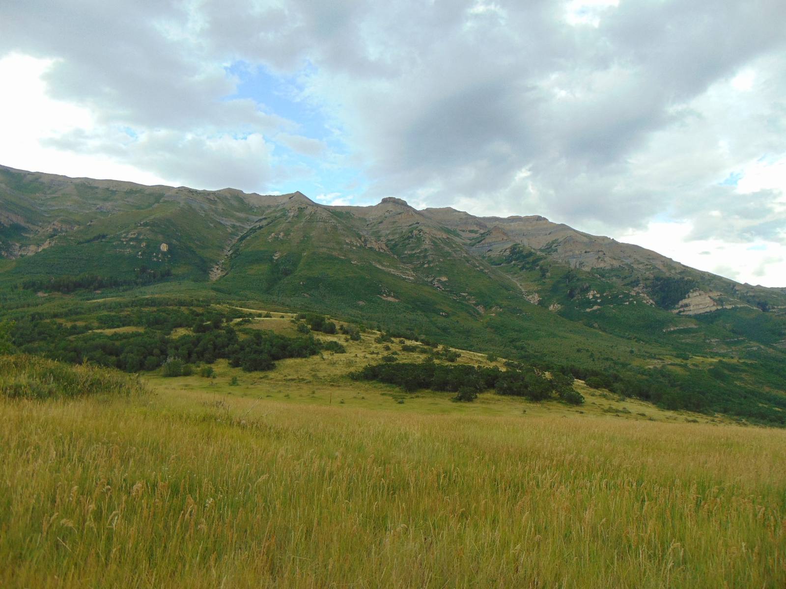 Alpine Loop Summit
