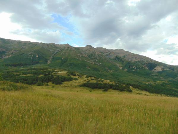 Alpine Loop Summit