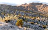 Anza-Borrego Desert State Park