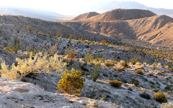 Anza-Borrego Desert State Park