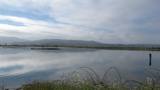 Arcata Marsh and Wildlife Sanctuary