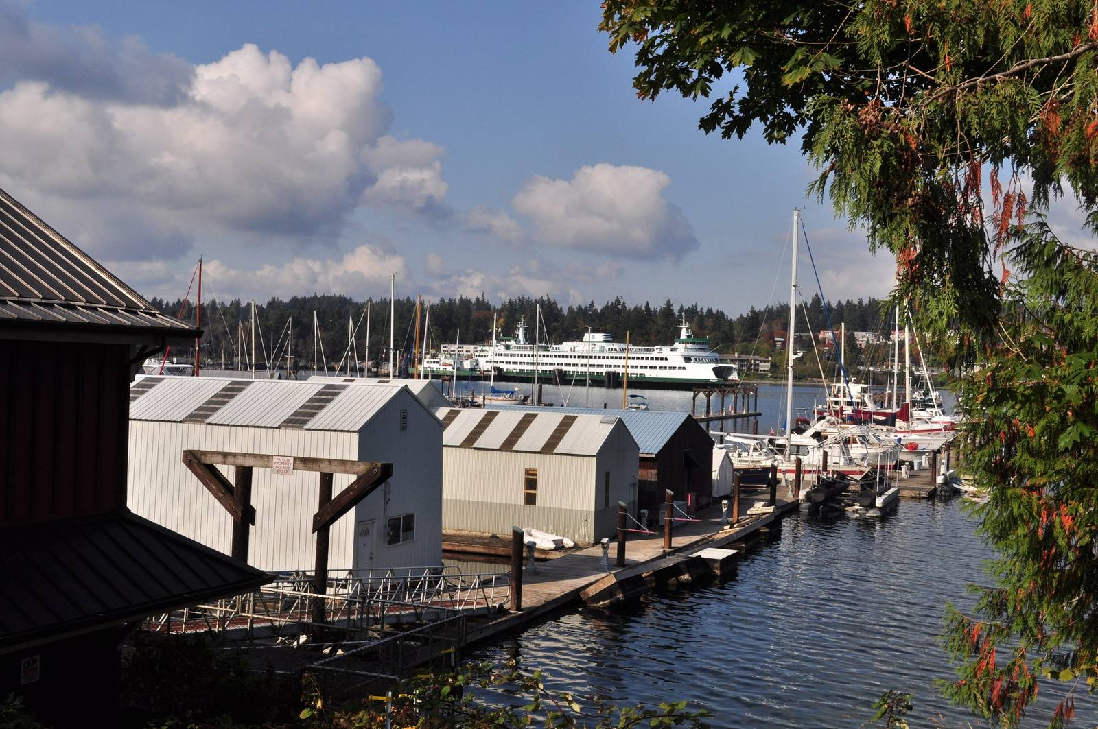 Eagle Harbor seen from the memorial, boat sheds and moored sailboats in front and the Seattle ferry at its terminal across the water