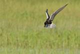 Bear Lake National Wildlife Refuge