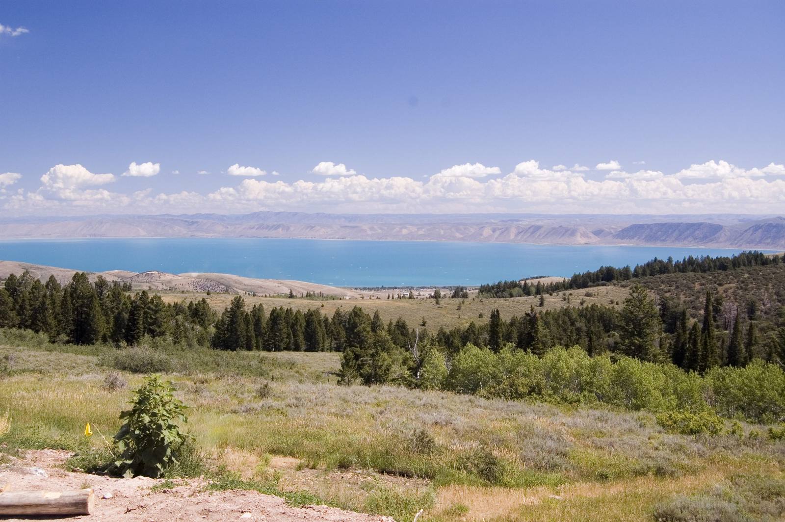 Bear Lake