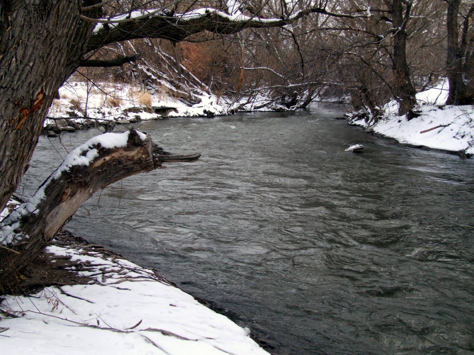The Portneuf River running dark between snowy banks under bare trees