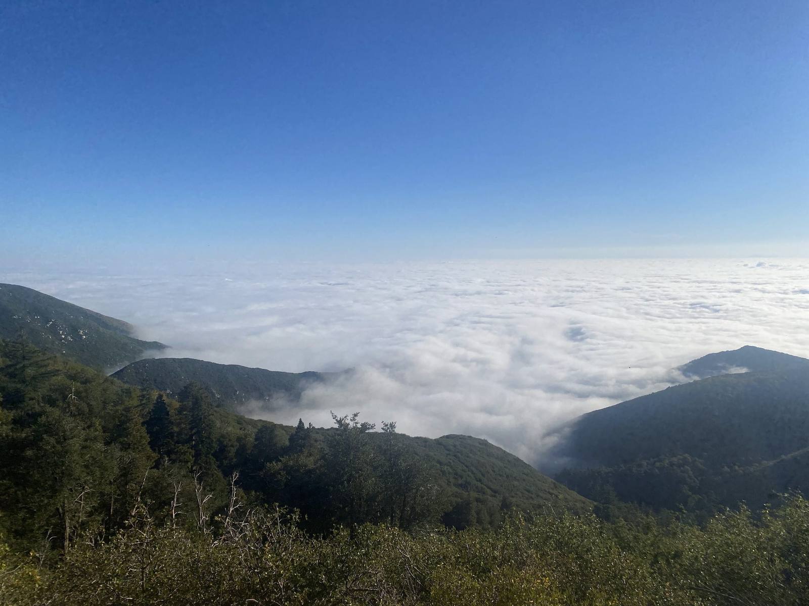 The San Bernardino Mountains crest above the valley, forested ridges dropping away to a floor buried under cloud.