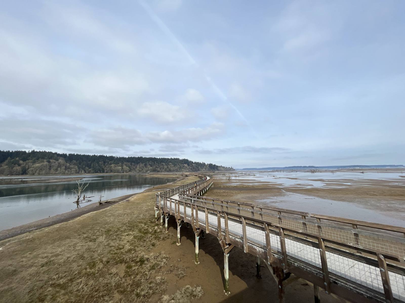 The elevated boardwalk running out across the tidal flats and channels of the Nisqually estuary under a pale spring sky