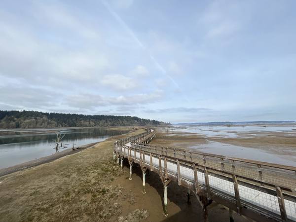 The elevated boardwalk running out across the tidal flats and channels of the Nisqually estuary under a pale spring sky