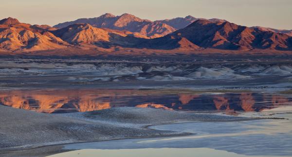 The Amargosa River where it surfaces as a lush green ribbon of reeds and riparian growth winding through the bare Mojave desert.