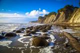 Bowling Ball Beach