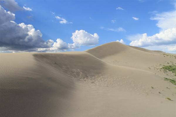 The smooth crest of the big dune at Bruneau under a blue sky with piled clouds