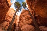 Bryce Canyon National Park