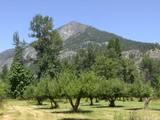 Buckner Homestead