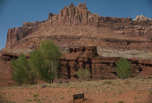 Capitol Reef National Park