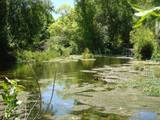 Cascade Springs