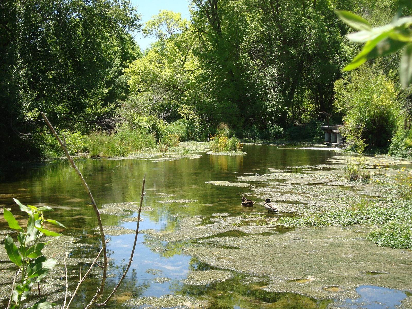 Cascade Springs