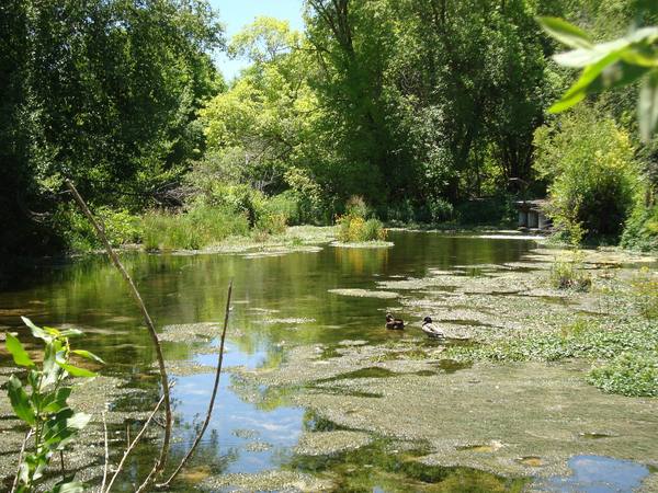 Cascade Springs