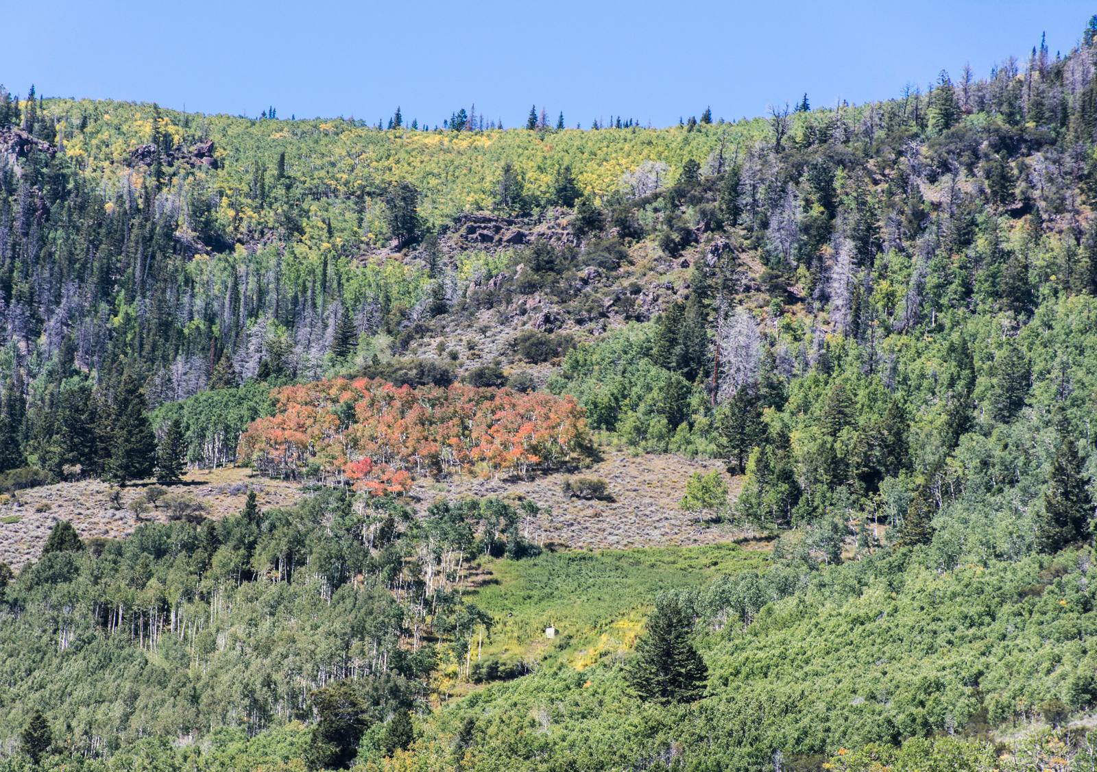 Central Utah