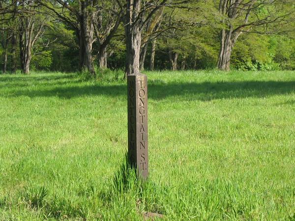 A wooden corner post lettered Longtain St. and Montcalm St., standing alone in the meadow where Champoeg's streets once crossed