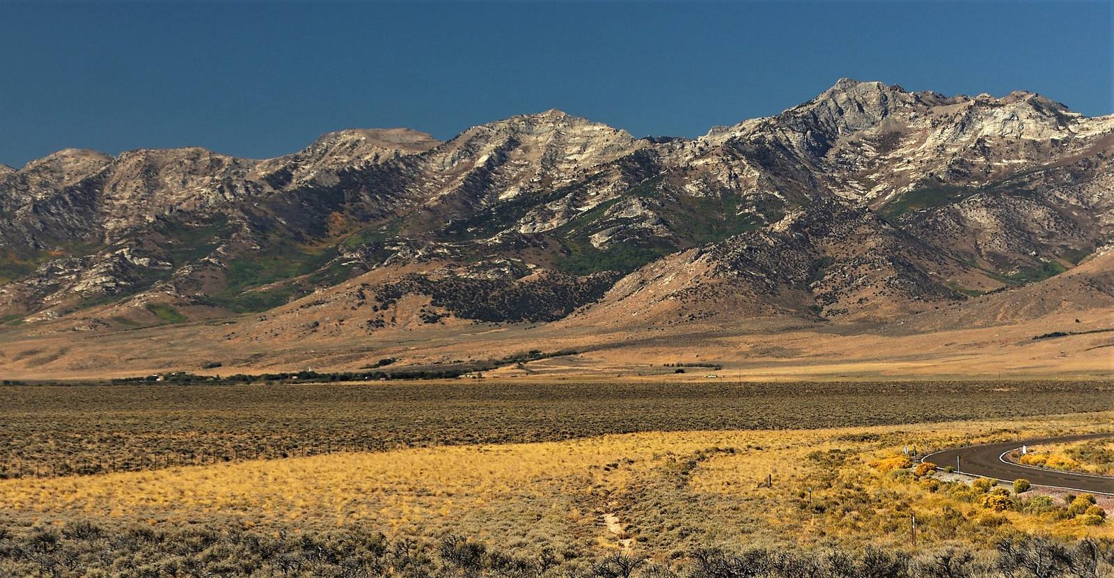 Cowboy Country