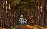 Cypress Tree Tunnel and Coast Station KPH