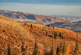 Deer Valley