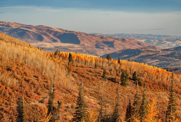 Deer Valley
