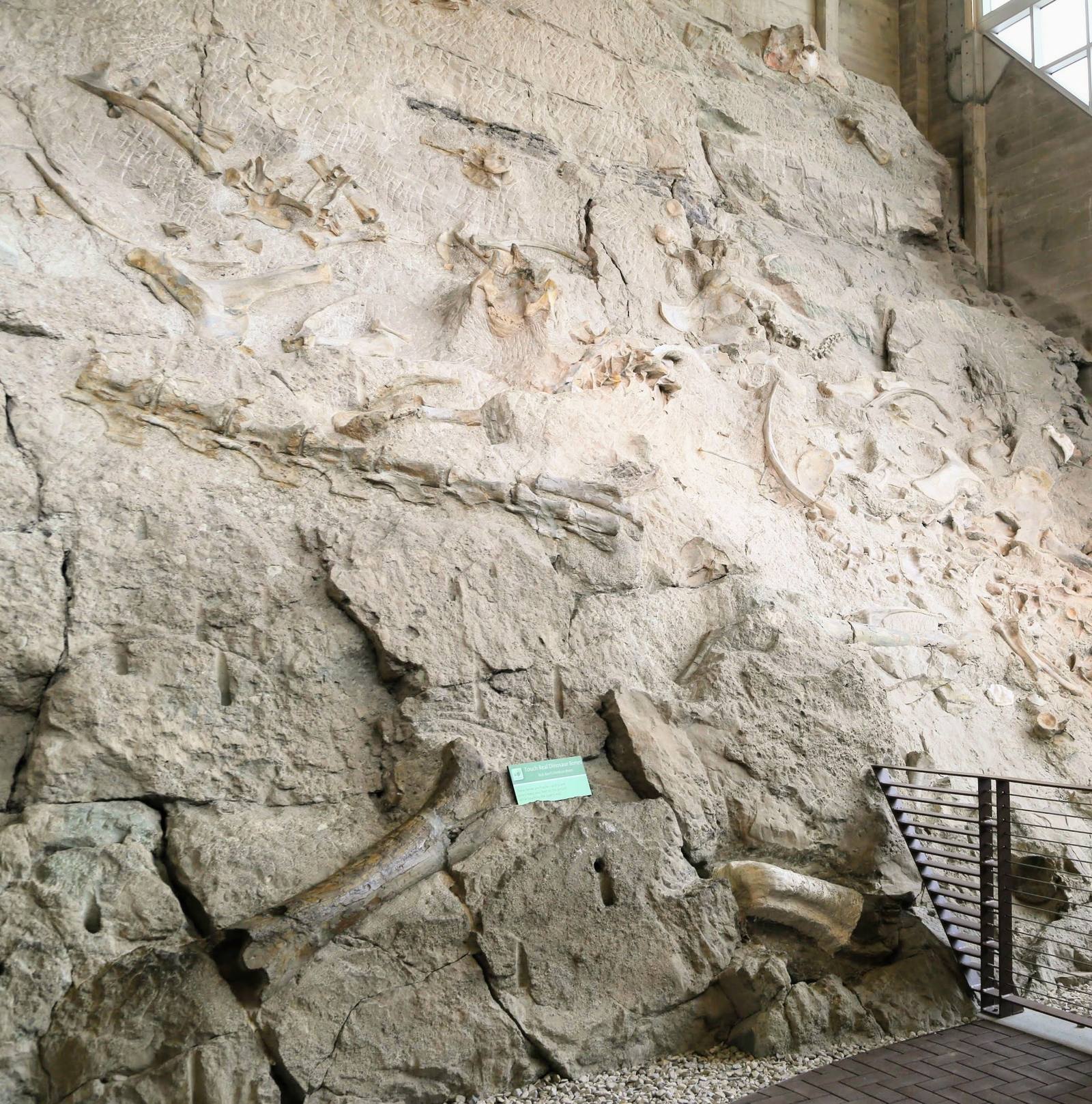Dinosaur National Monument