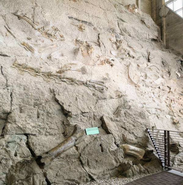 Dinosaur National Monument