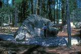 Donner Memorial State Park