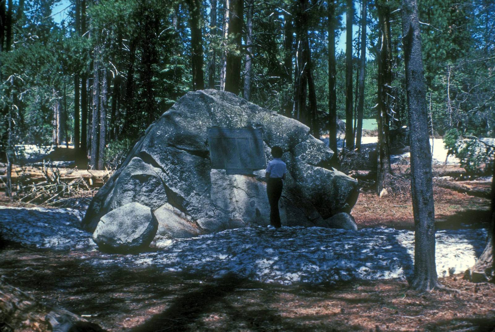 Donner Memorial State Park
