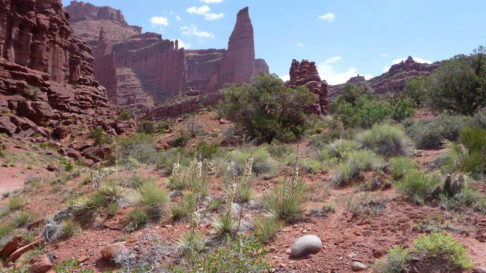 Fisher Towers