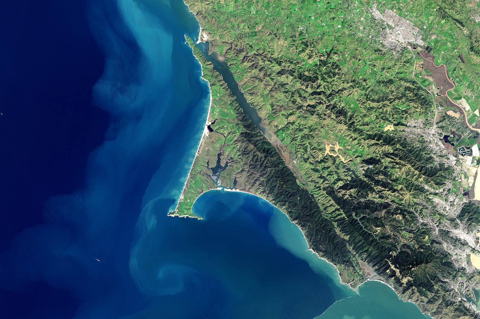 Landsat 8 view of the Marin coast on 1 March 2017. Tomales Bay runs in a straight dark line down the San Andreas Fault, the Point Reyes peninsula hooks out into the Pacific with Drakes Bay curving inside it, Bolinas Lagoon sits at the foot of the forested ridges, and a pale plume of sediment fans out through the Golden Gate at lower right.