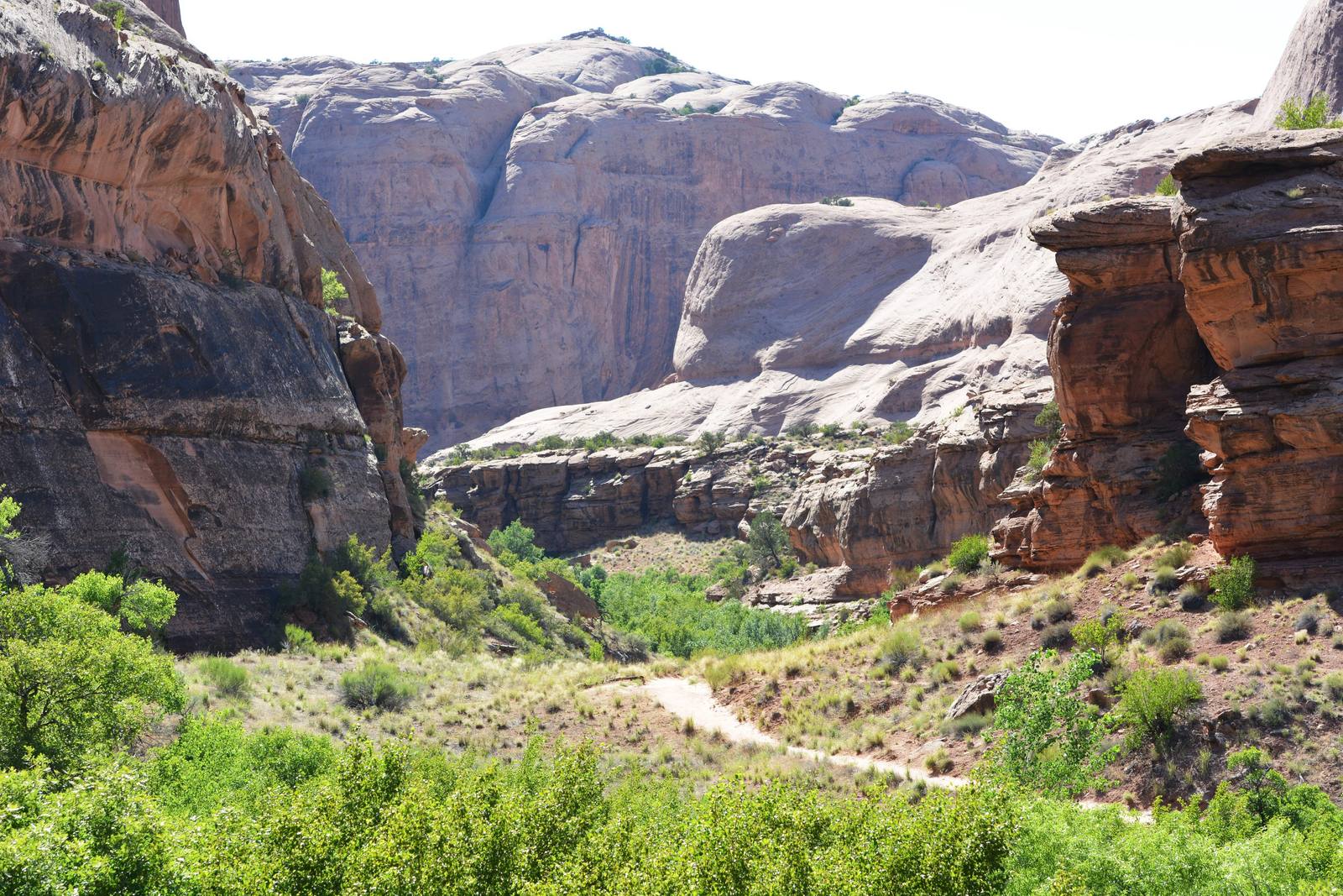 Grandstaff Canyon