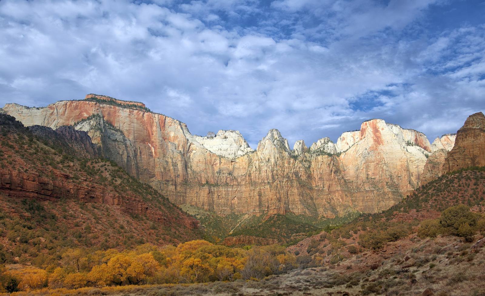 The Temples and Towers of the Virgin from the flat behind the Zion Human History Museum, in October — the flat-topped West Temple closing the left end of the wall, then a run of white Navajo sandstone summits and pale spires standing above sheer red-brown cliffs, with one peak toward the right carrying a long rust-coloured streak down its face. Cottonwoods on the canyon floor have gone yellow and gold across the bottom of the frame, dry grass and juniper cover the bench at right, and broken cloud runs over the rim. Zion Canyon proper, the Narrows and the shuttle road are all upstream and out of the picture.