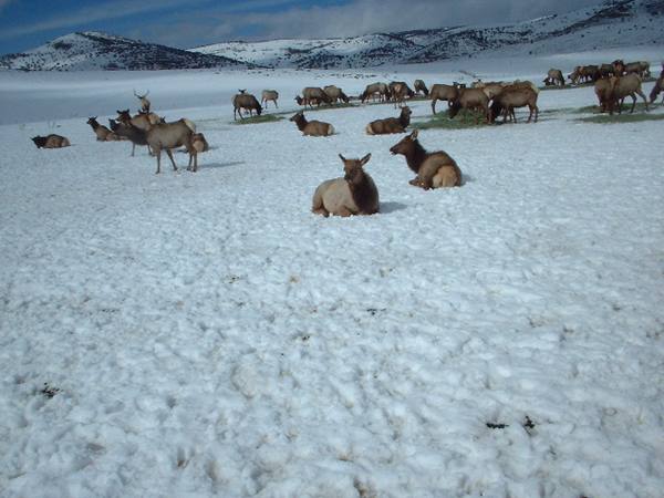 Hardware Ranch Wildlife Management Area