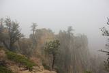 Hells Backbone Road
