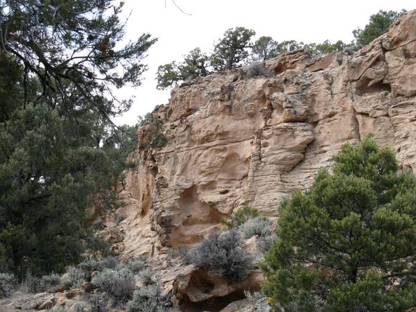 Hickison Petroglyphs