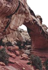 Hickman Bridge Trail