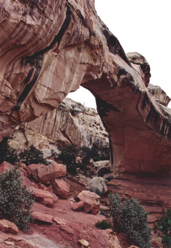 Hickman Bridge Trail