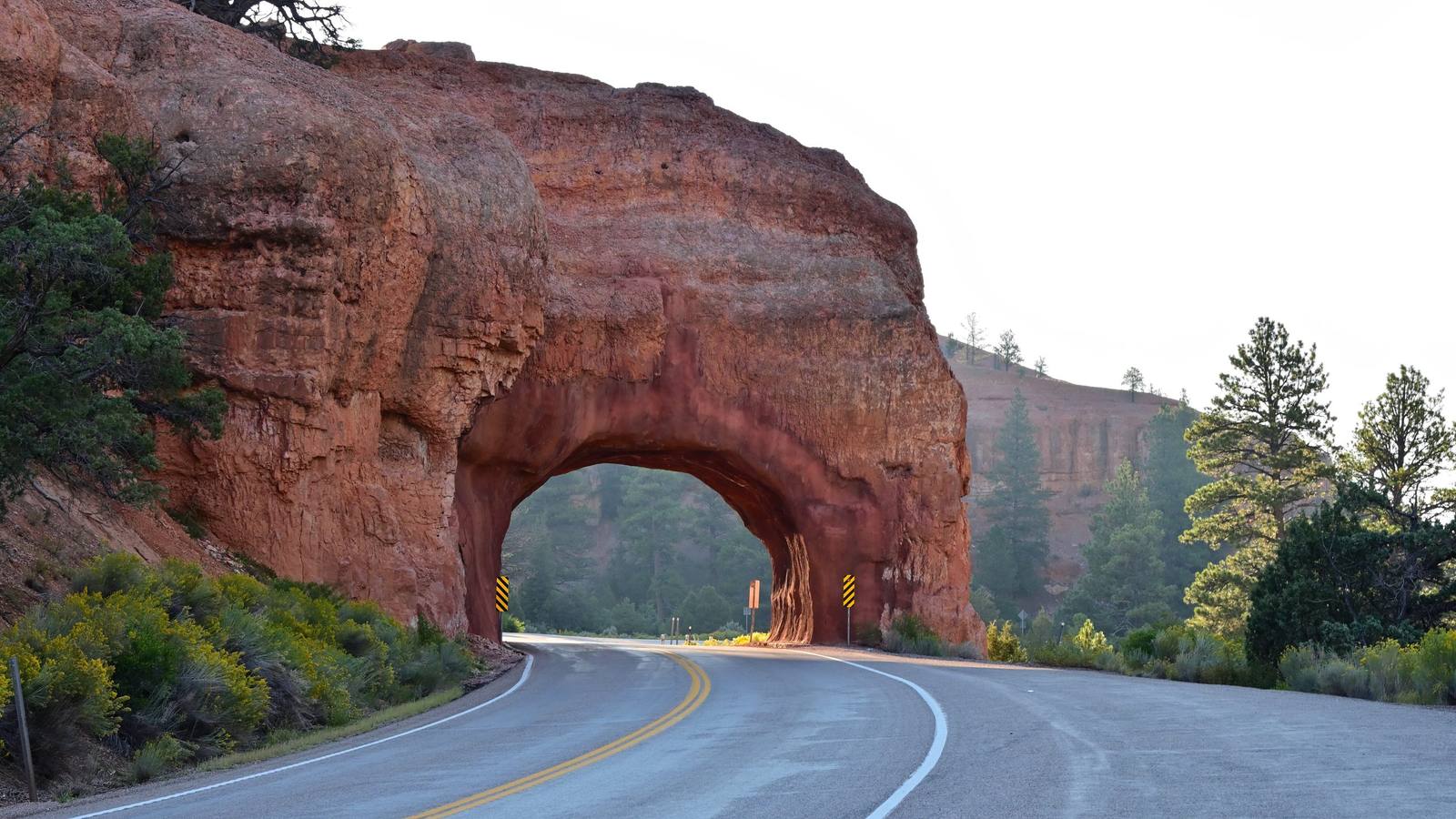The Red Canyon tunnel on Scenic Byway 12, shot low from the pavement — the road sweeping in from the right foreground and curving left through an arch bored clean through a mass of red sandstone, with black-and-yellow chevron boards standing either side of the portal and a further stretch of road visible through the opening. Juniper and pine grow on top of the rock and up the slope at right, under a flat white sky. No traffic is on the road.
