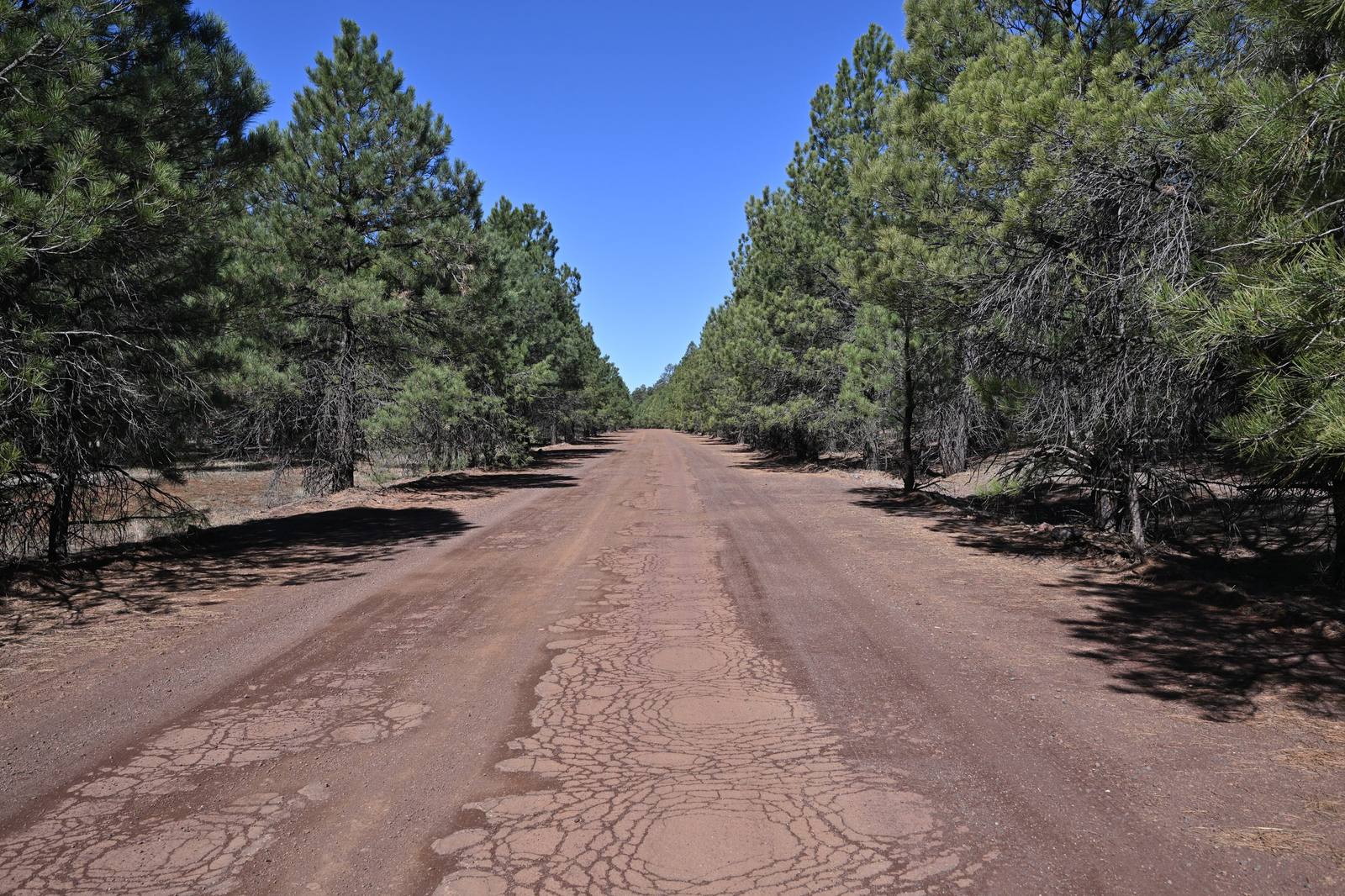 Historic Route 66