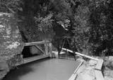 Hurricane Canal Trail