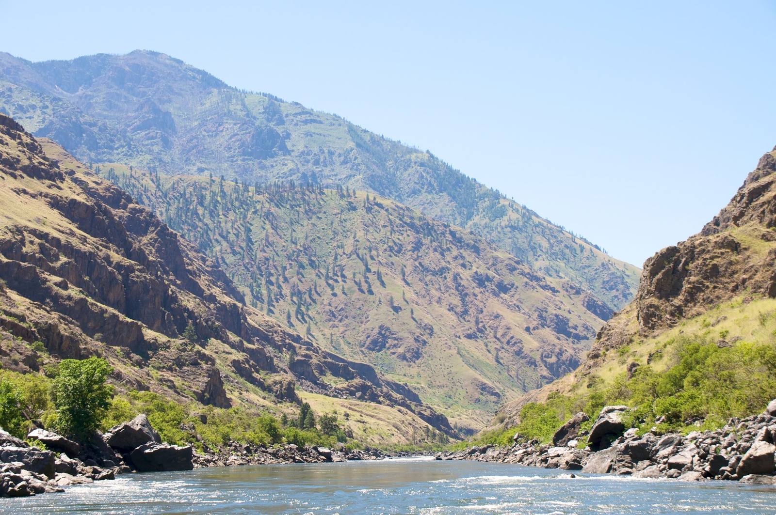 The Snake River in Hells Canyon, seen from the water — the river running bright and riffled between banks of dark boulders, willows and green brush along its edges. Stepped walls of dark rock rise steeply on both sides, streaked with grass and scattered pines, and a long timbered ridge climbs across the back of the frame to a summit at the upper left under a clear, pale blue sky.